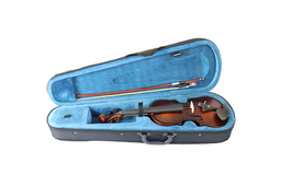 Violin Amadeus 1/2 VP303E Mate
