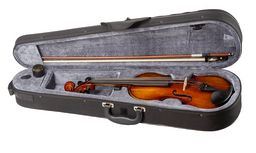 Violin Carlo Giordano 3/4 VS15